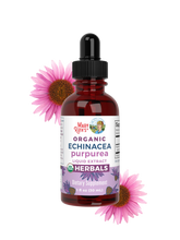 Organic Echinacea Purpurea Herbal Liquid Drops