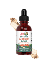 Organic Astragalus Root Herbal Drops