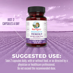 Probiotic Prenatal+