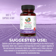 Lipase Protease Enzymes